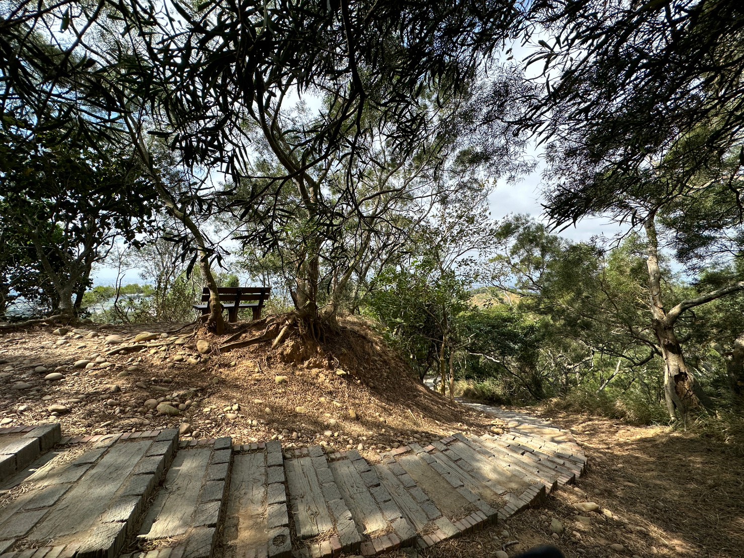 台中大肚景點,台中大肚萬里長城登山步道,台中景點,台中親子步道,台中走步道推薦,登山步道首選,萬里山長好走