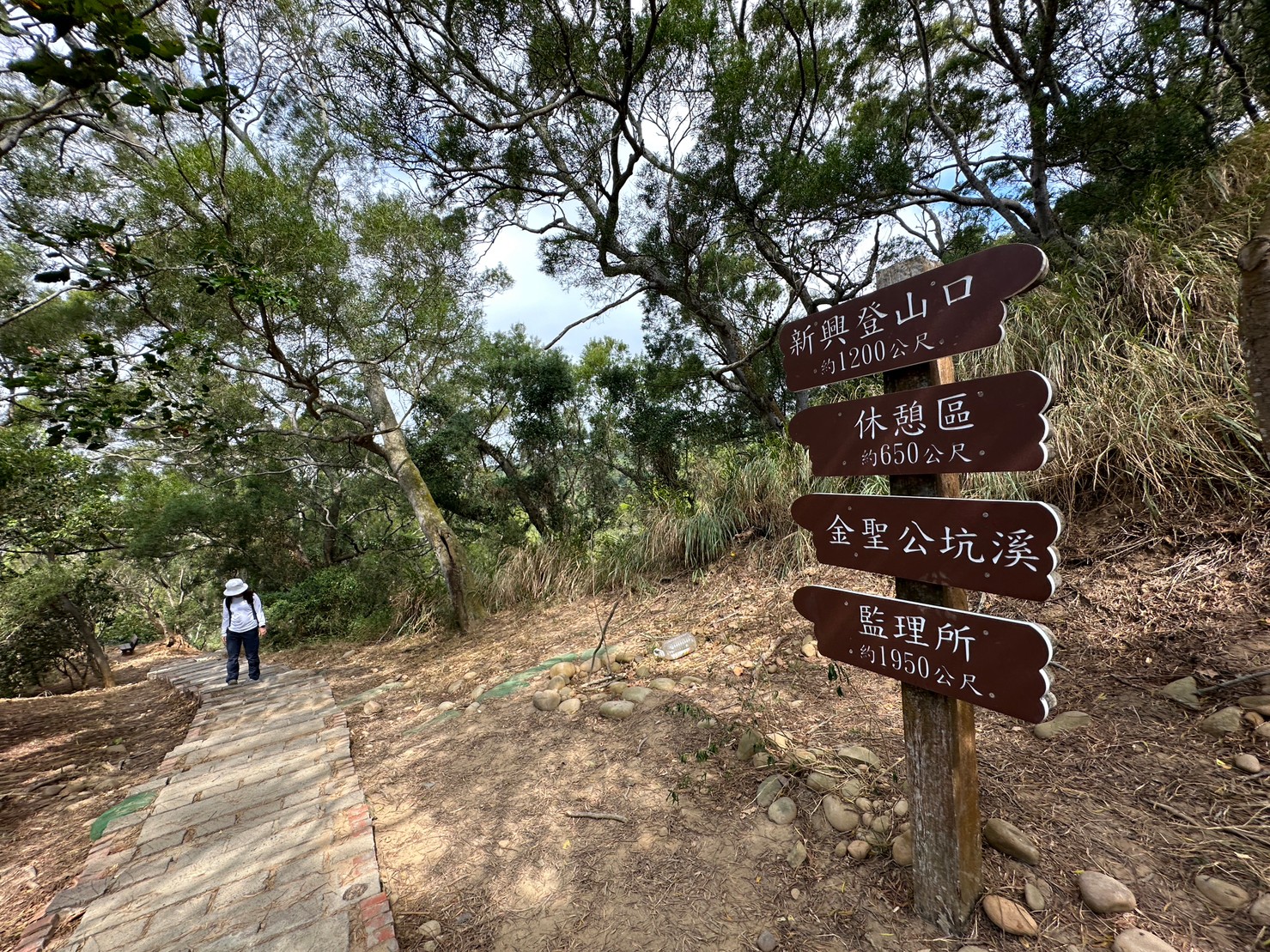 台中大肚景點,台中大肚萬里長城登山步道,台中景點,台中親子步道,台中走步道推薦,登山步道首選,萬里山長好走