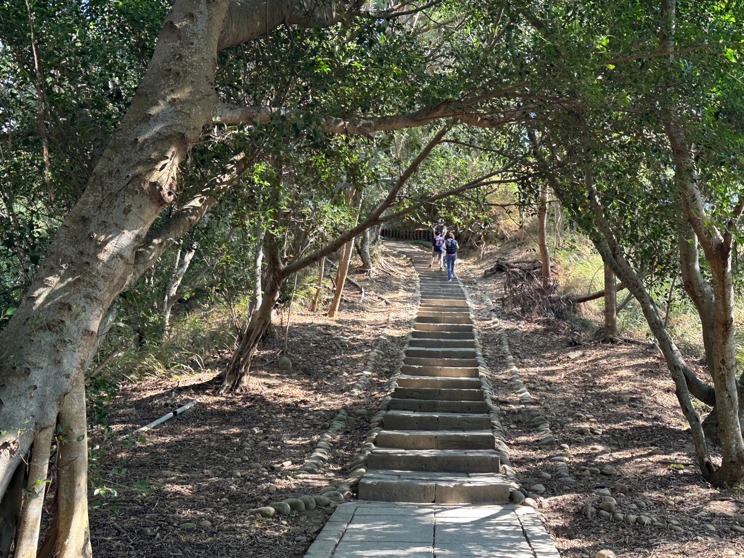 台中大肚景點,台中大肚萬里長城登山步道,台中景點,台中親子步道,台中走步道推薦,登山步道首選,萬里山長好走