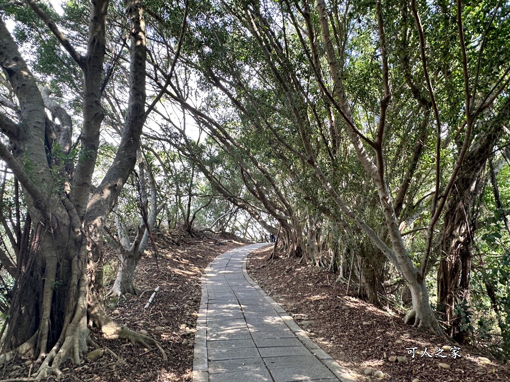 台中大肚景點,台中大肚萬里長城登山步道,台中景點,台中親子步道,台中走步道推薦,登山步道首選,萬里山長好走