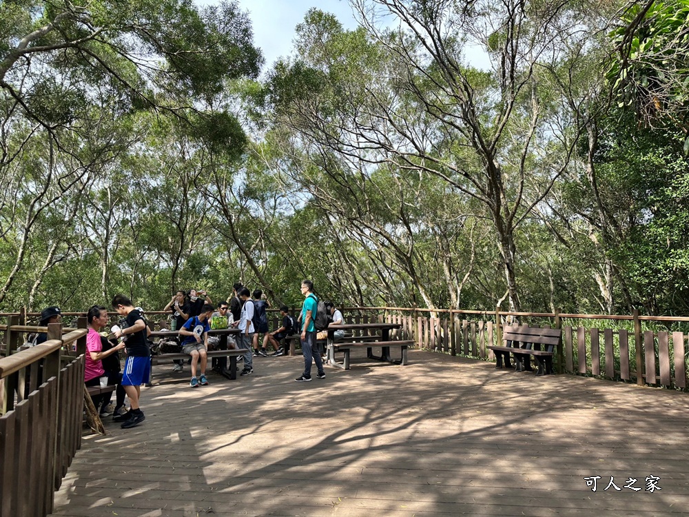 台中大肚景點,台中大肚萬里長城登山步道,台中景點,台中親子步道,台中走步道推薦,登山步道首選,萬里山長好走