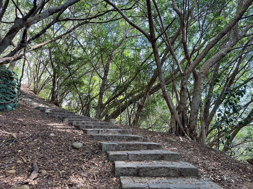 台中大肚景點,台中大肚萬里長城登山步道,台中景點,台中親子步道,台中走步道推薦,登山步道首選,萬里山長好走