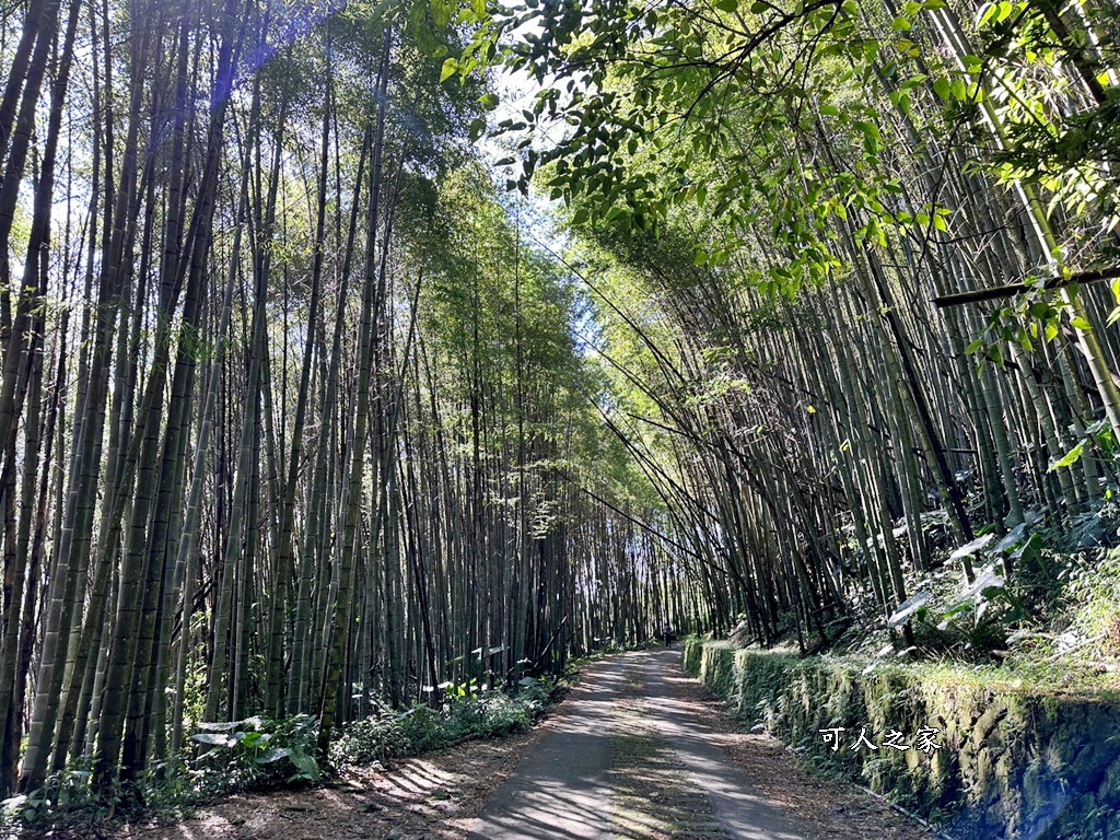 二延平步道開車直達,嘉義阿里山,隙頂二延平步道