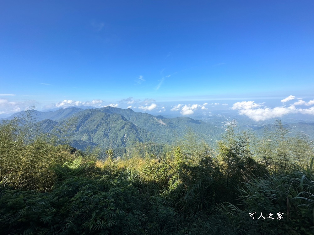 二延平步道開車直達,嘉義阿里山,隙頂二延平步道