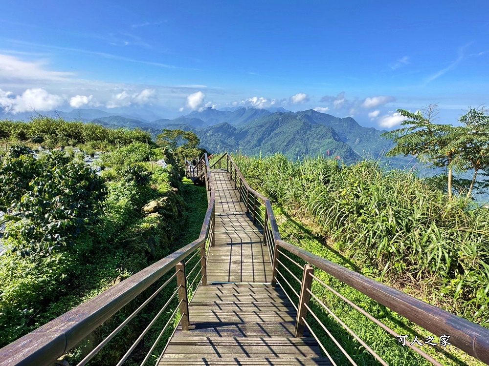 二延平步道開車直達,嘉義阿里山,隙頂二延平步道