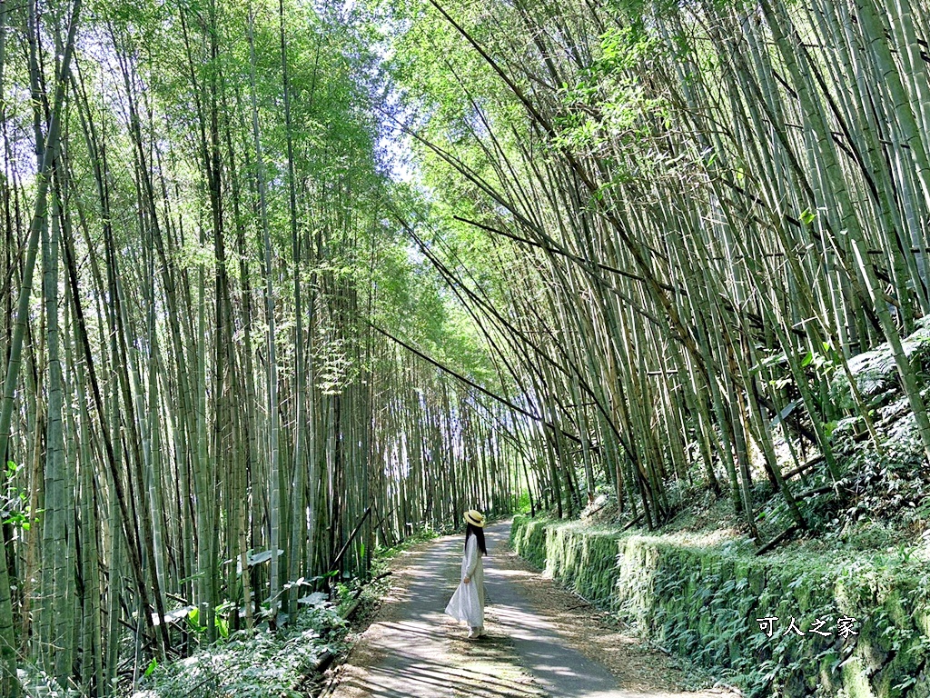 二延平步道開車直達,嘉義阿里山,隙頂二延平步道