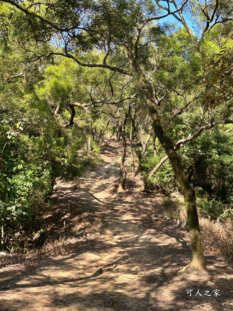 C型鐵道,鄭漢步道