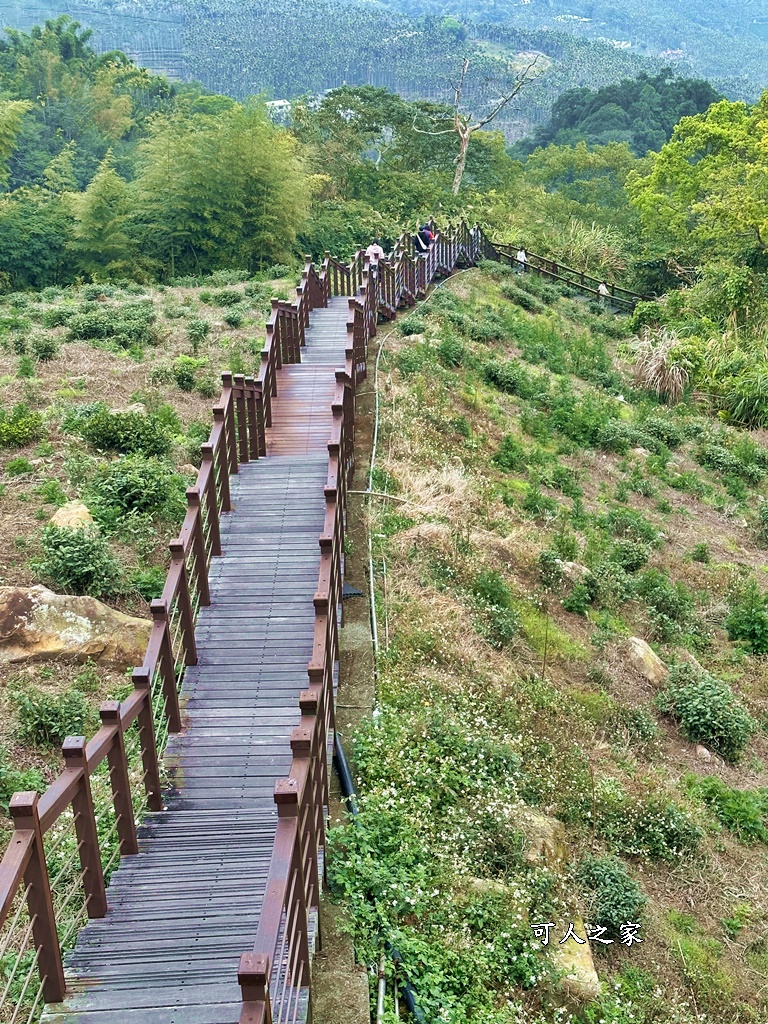 嘉義景點阿里山梅山,嘉義阿里山,太興岩步道