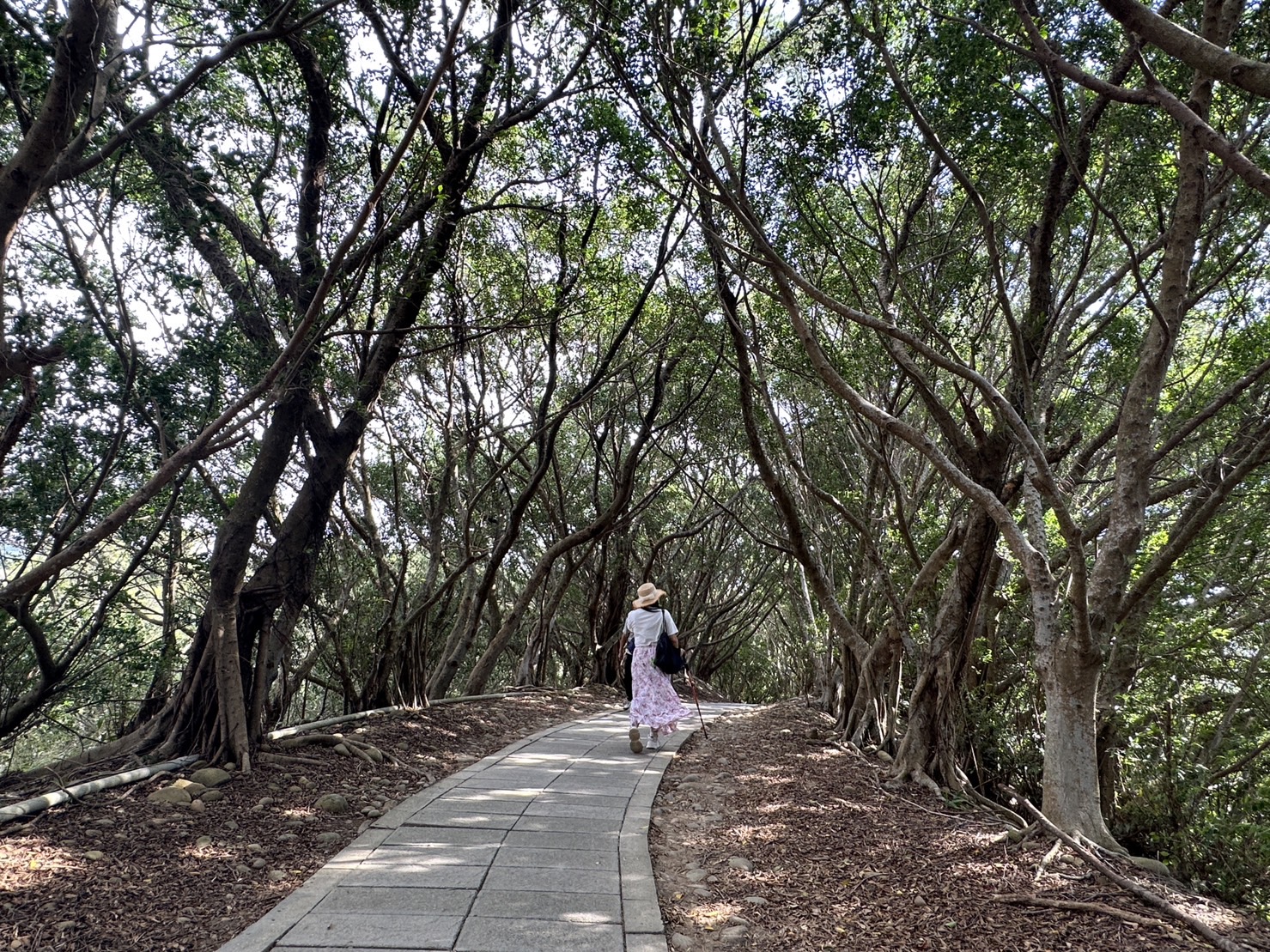 台中大肚景點,台中大肚萬里長城登山步道,台中景點,台中親子步道,台中走步道推薦,登山步道首選,萬里山長好走