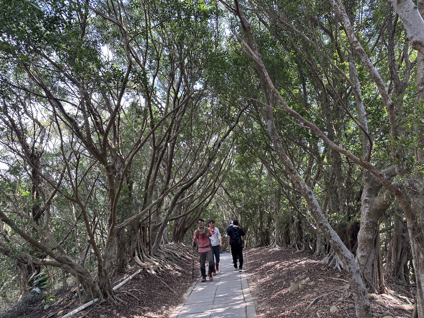 台中大肚景點,台中大肚萬里長城登山步道,台中景點,台中親子步道,台中走步道推薦,登山步道首選,萬里山長好走