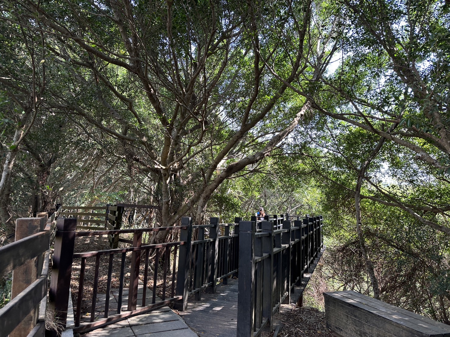 台中大肚景點,台中大肚萬里長城登山步道,台中景點,台中親子步道,台中走步道推薦,登山步道首選,萬里山長好走