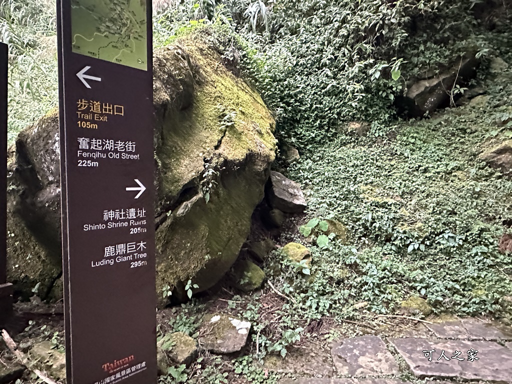 嘉義景點,嘉義步道有哪些,嘉義阿里山,阿里山步道推薦