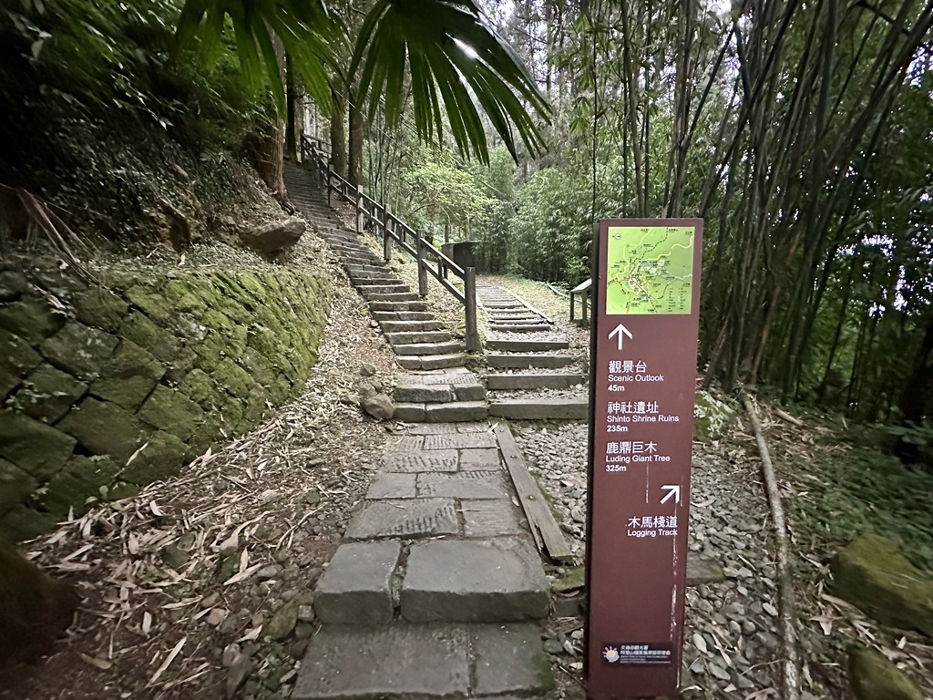 嘉義景點,嘉義步道有哪些,嘉義阿里山,阿里山步道推薦