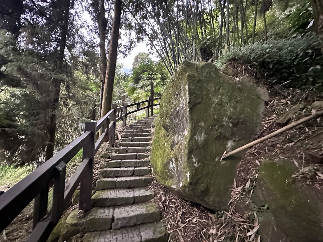 嘉義景點,嘉義步道有哪些,嘉義阿里山,阿里山步道推薦