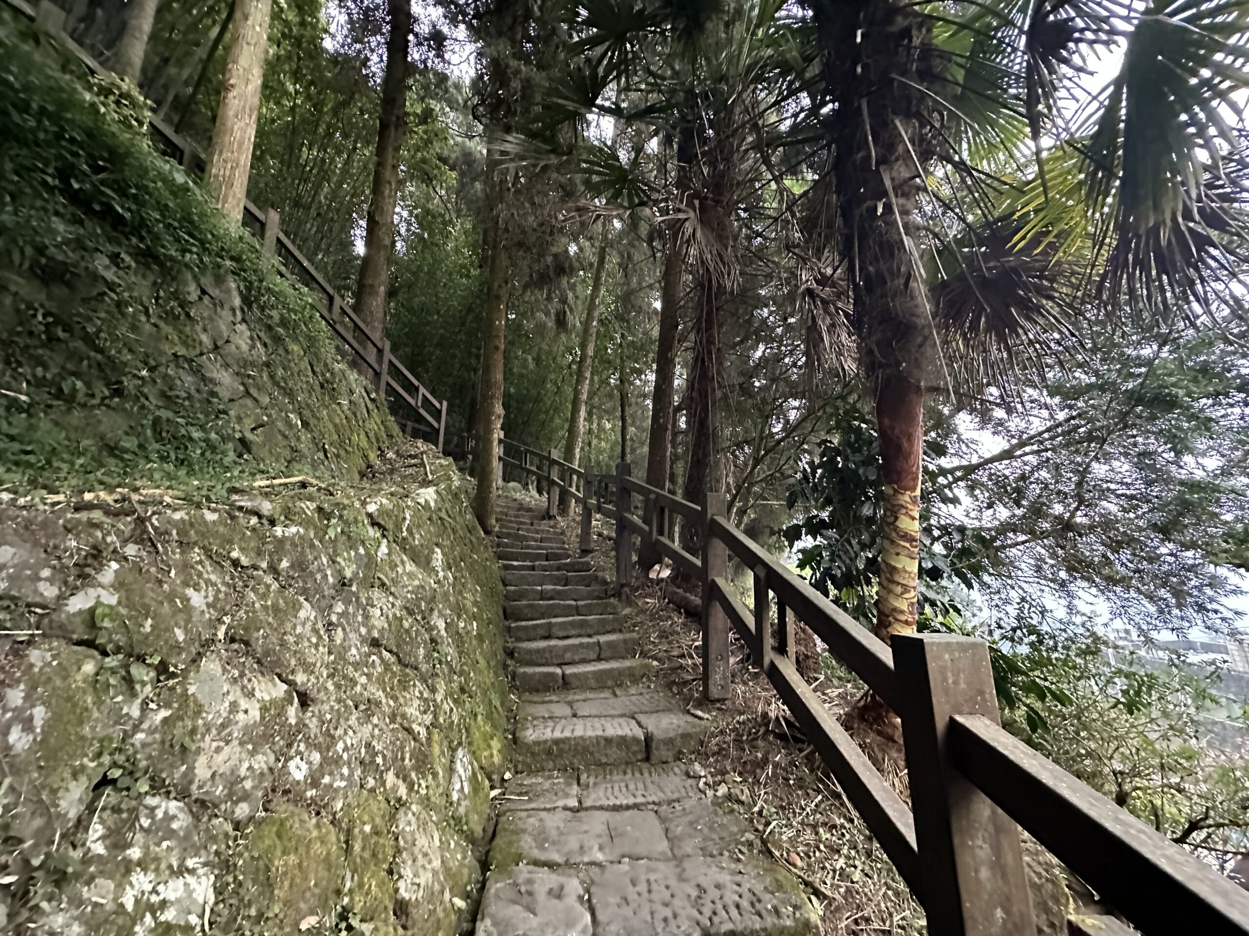 嘉義景點,嘉義步道有哪些,嘉義阿里山,阿里山步道推薦