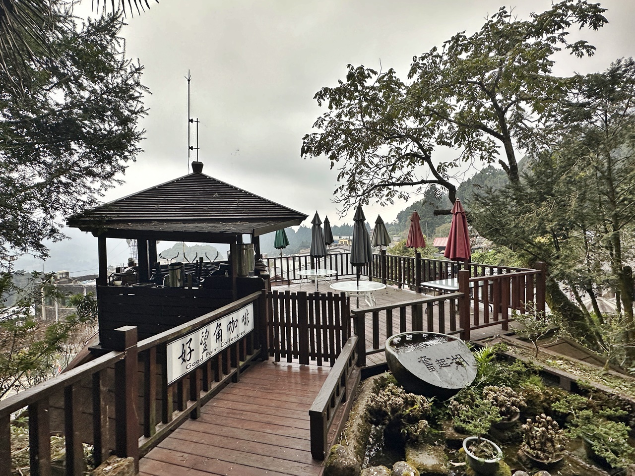 嘉義景點,嘉義步道有哪些,嘉義阿里山,阿里山步道推薦