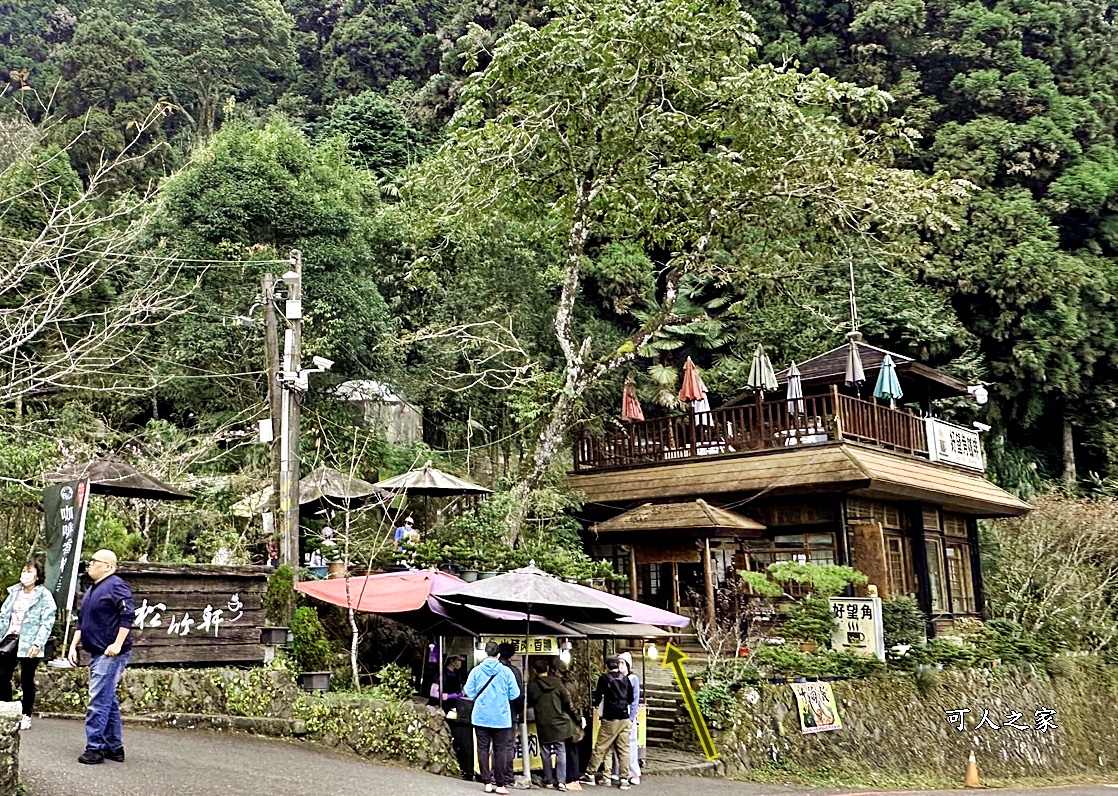 嘉義景點,嘉義步道有哪些,嘉義阿里山,阿里山步道推薦