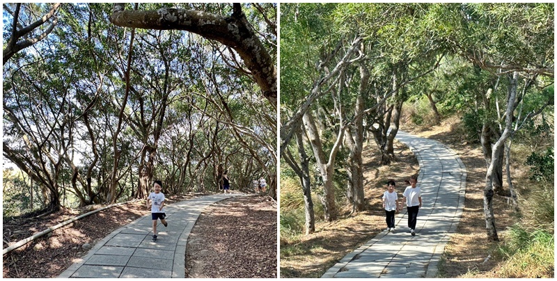 台中大肚景點,台中大肚萬里長城登山步道,台中景點,台中親子步道,台中走步道推薦,登山步道首選,萬里山長好走 @可人之家