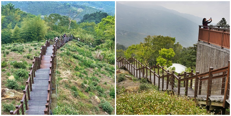 嘉義景點阿里山梅山,嘉義阿里山,太興岩步道 @可人之家