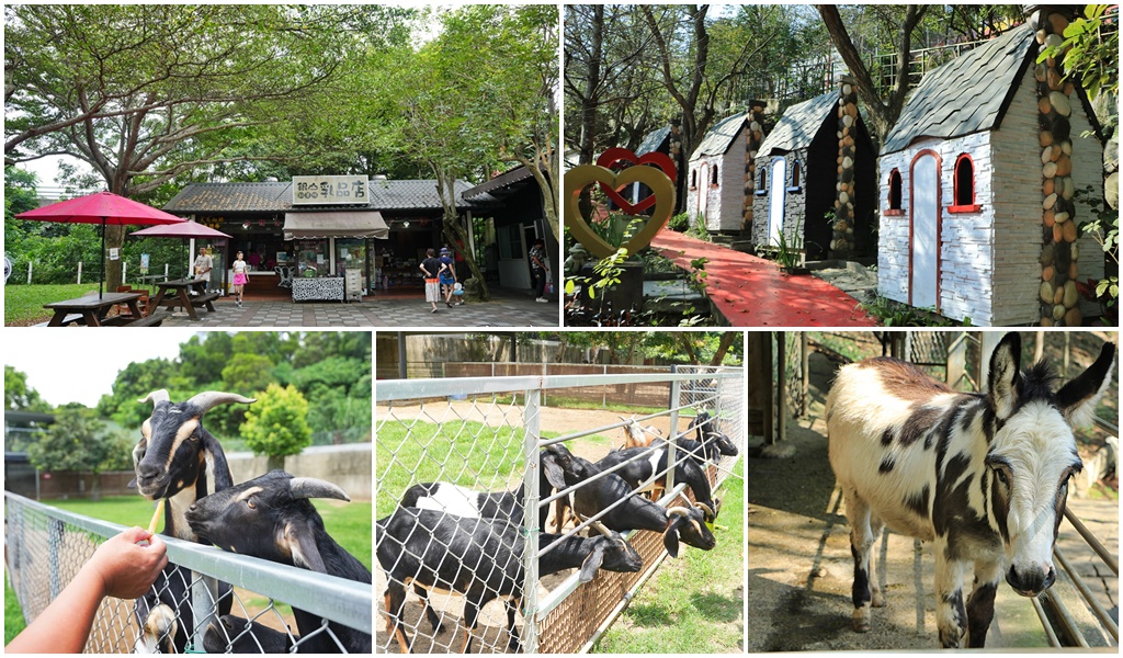 彰化免費餵動物,彰化親子牧場,彰化餵動物景點