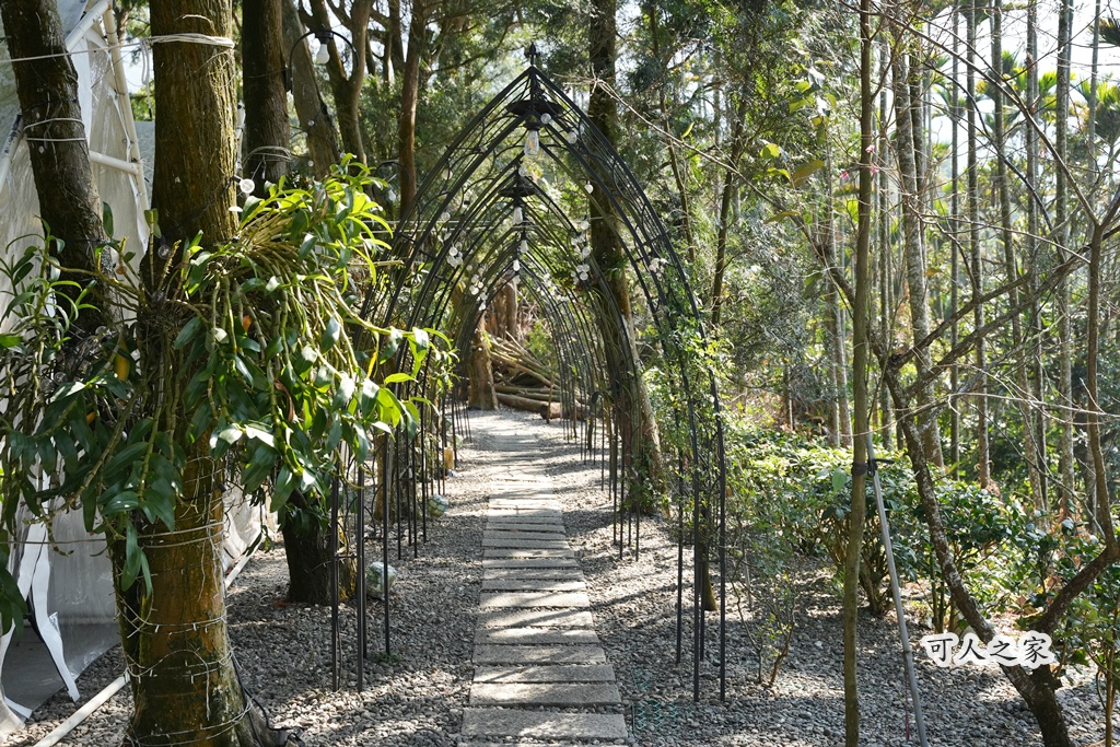 古坑咖啡,古坑玩沙,古坑美食,夜景餐廳,情侶約會,桂林映象會館,珍粉紅城堡,華山小天梯,蘿莎玫瑰莊園,蜜蜂故事館,親子餐廳,雲林IG景點,雲林一日遊,雲林休閒農場,雲林古坑景點,雲林咖啡廳,雲林夜景,雲林戶外景點,雲林打卡,雲林打卡景點,雲林推薦景點,雲林旅遊攻略,雲林景觀餐廳,雲林浪漫景點,雲林火鍋,雲林約會,雲林網美,雲林美食推薦,雲林華山,雲林親子景點,雲林觀光,雲林露營風,雲頂咖啡,雲頂咖啡低消,雲頂咖啡景觀餐廳,雲頂咖啡營業時間,雲頂咖啡菜單,雲頂咖啡電話