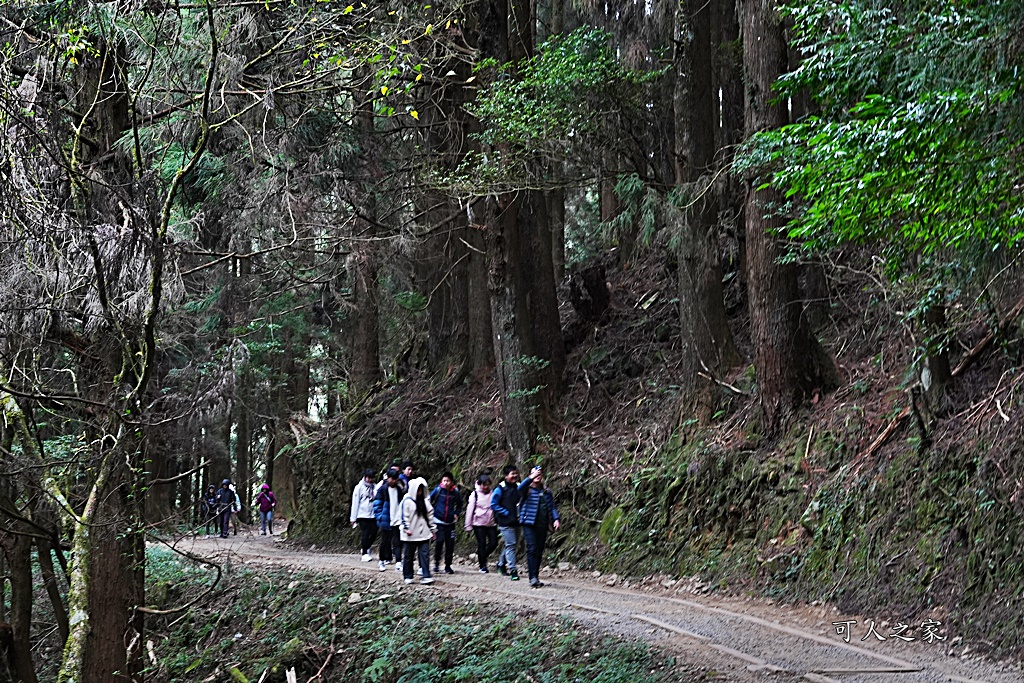 導航點,特富野古道,特富野古道怎麼去？,特富野自忠登山口路線,獨立山國家步道,精選文章