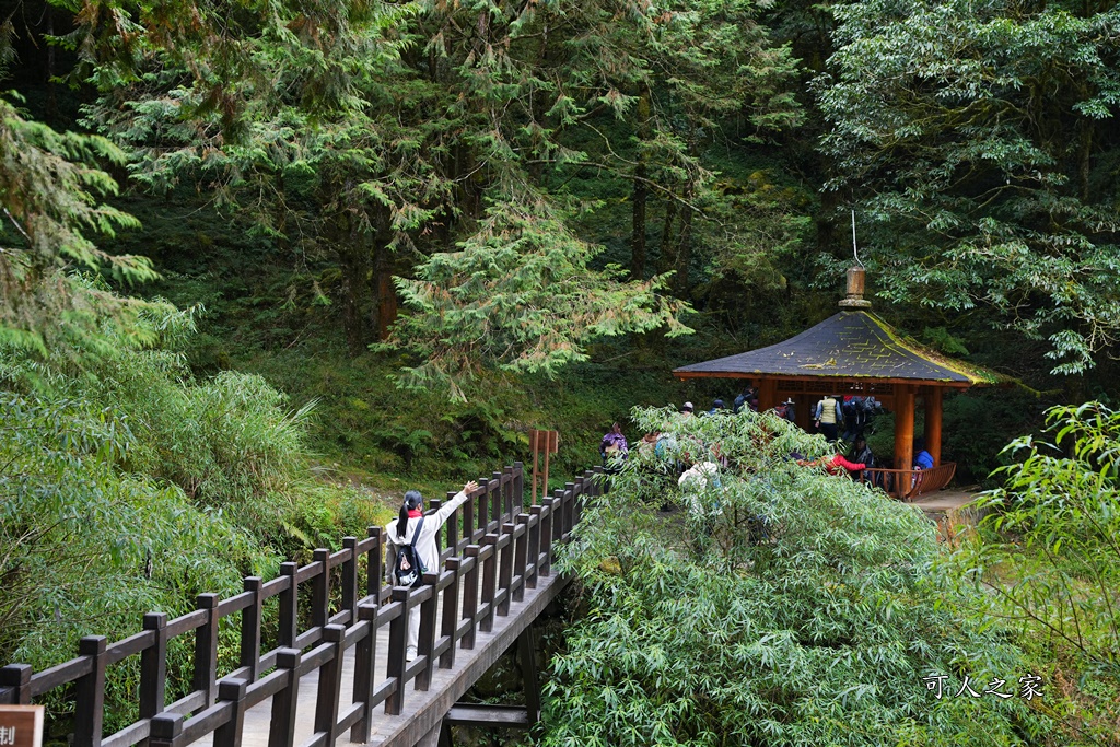 導航點,特富野古道,特富野古道怎麼去？,特富野自忠登山口路線,獨立山國家步道,精選文章