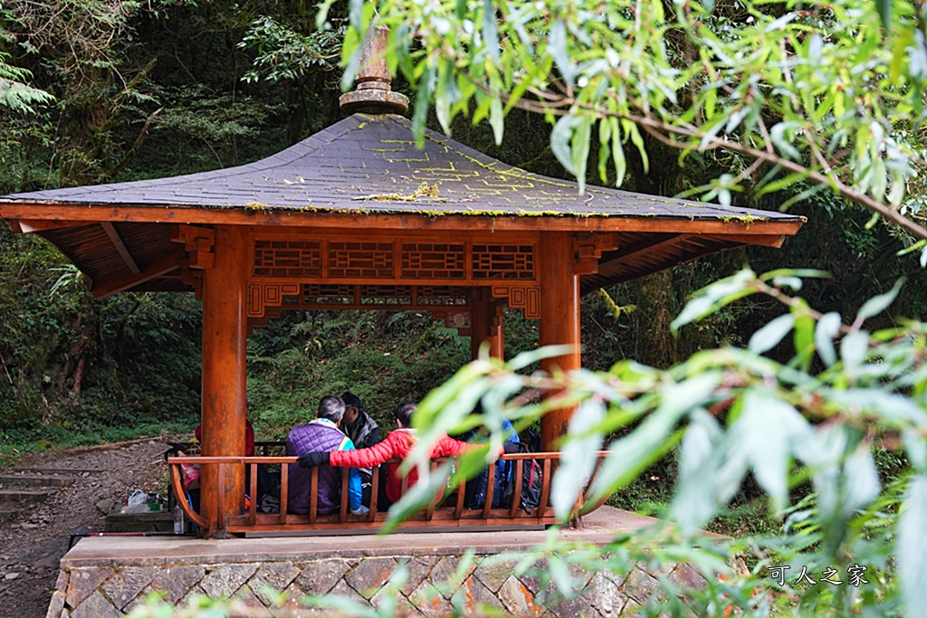 導航點,特富野古道,特富野古道怎麼去？,特富野自忠登山口路線,獨立山國家步道,精選文章