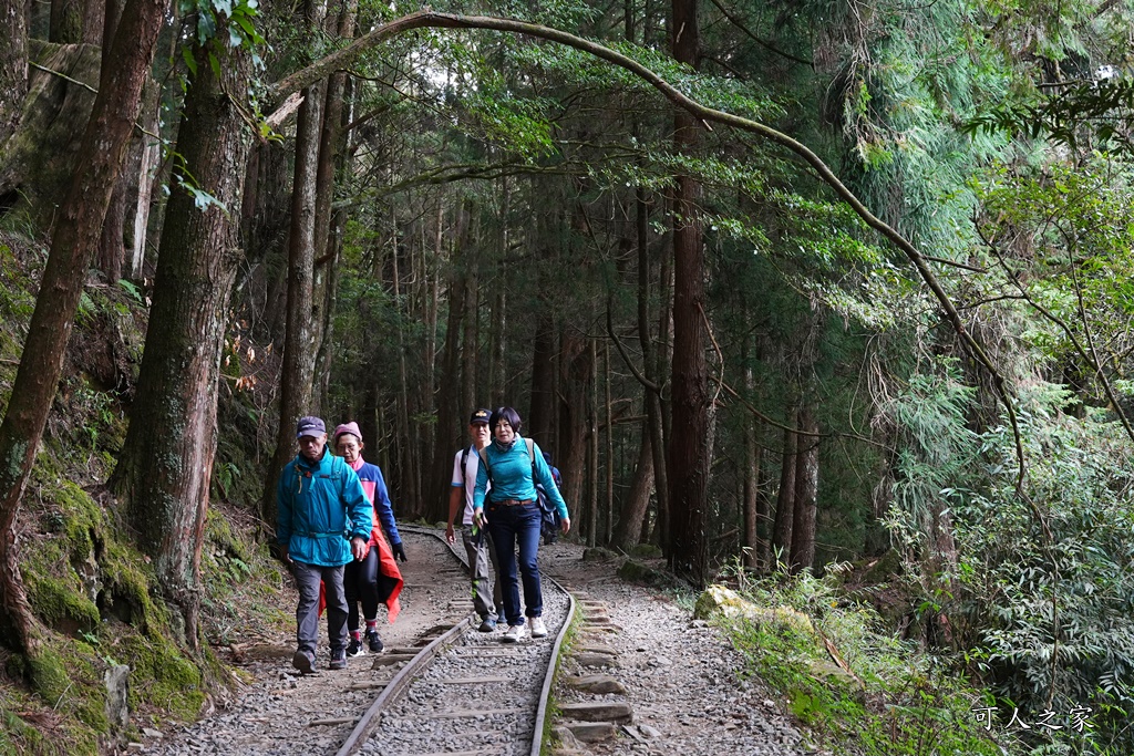 導航點,特富野古道,特富野古道怎麼去？,特富野自忠登山口路線,獨立山國家步道,精選文章