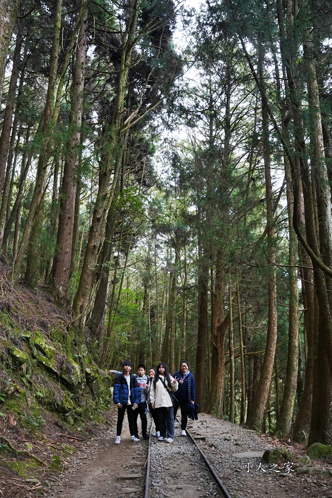 導航點,特富野古道,特富野古道怎麼去？,特富野自忠登山口路線,獨立山國家步道,精選文章