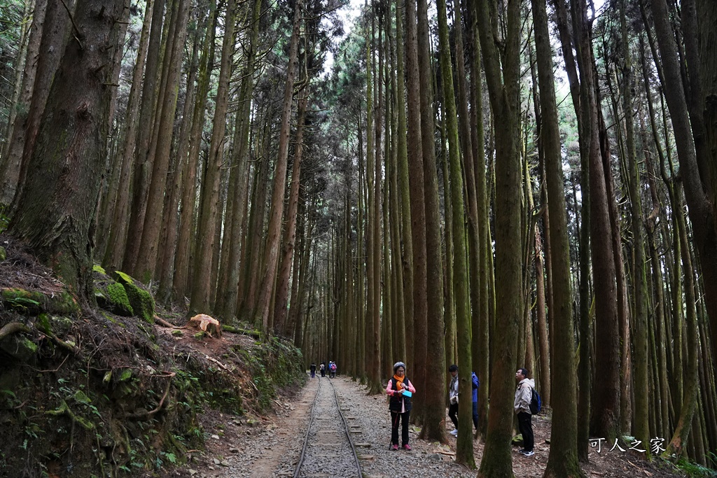 導航點,特富野古道,特富野古道怎麼去？,特富野自忠登山口路線,獨立山國家步道,精選文章