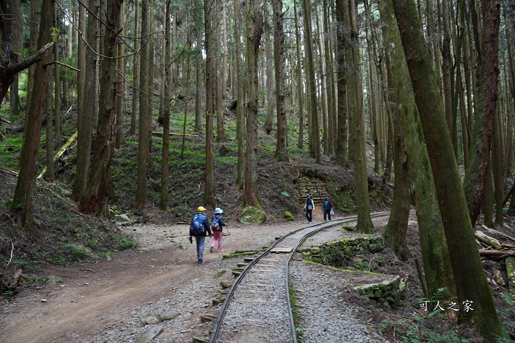 導航點,特富野古道,特富野古道怎麼去？,特富野自忠登山口路線,獨立山國家步道,精選文章