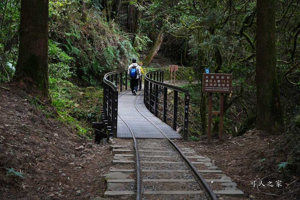 導航點,特富野古道,特富野古道怎麼去？,特富野自忠登山口路線,獨立山國家步道,精選文章