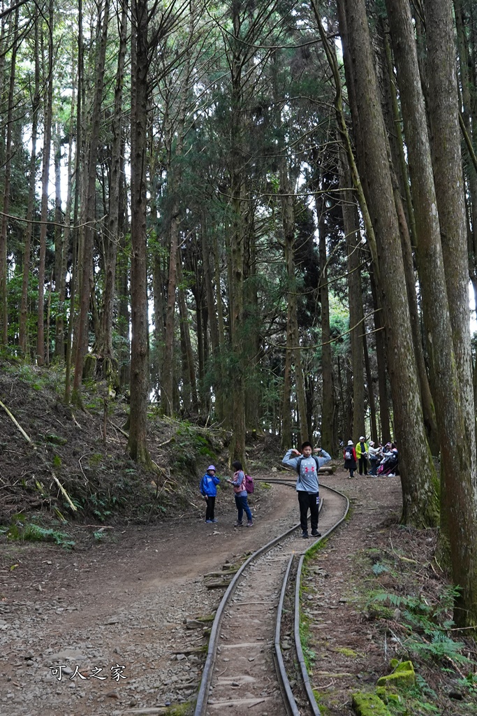 導航點,特富野古道,特富野古道怎麼去？,特富野自忠登山口路線,獨立山國家步道,精選文章