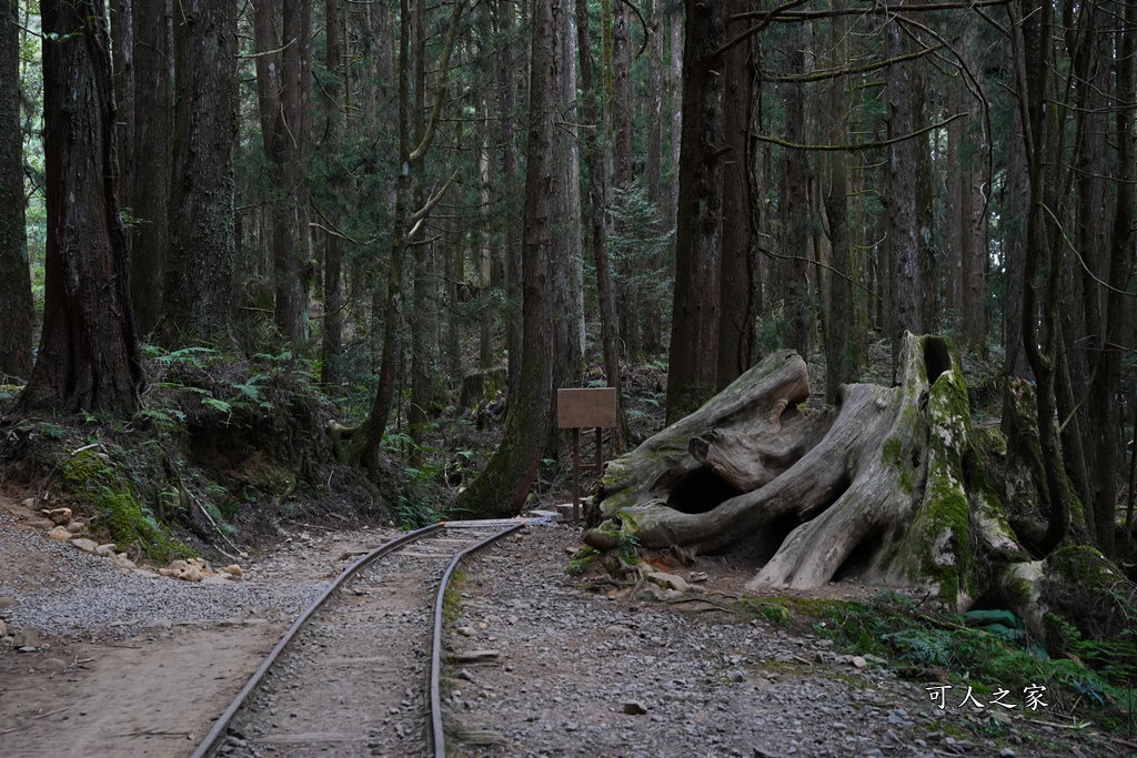 導航點,特富野古道,特富野古道怎麼去？,特富野自忠登山口路線,獨立山國家步道,精選文章