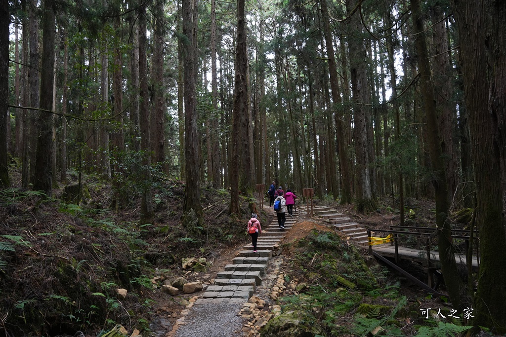 導航點,特富野古道,特富野古道怎麼去？,特富野自忠登山口路線,獨立山國家步道,精選文章