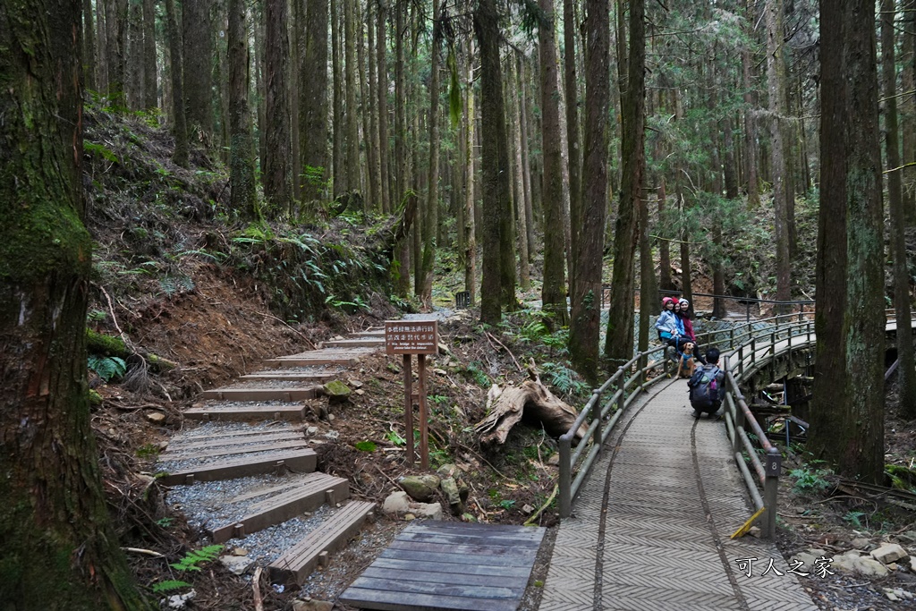 導航點,特富野古道,特富野古道怎麼去？,特富野自忠登山口路線,獨立山國家步道,精選文章