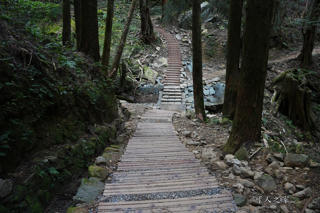 導航點,特富野古道,特富野古道怎麼去？,特富野自忠登山口路線,獨立山國家步道,精選文章