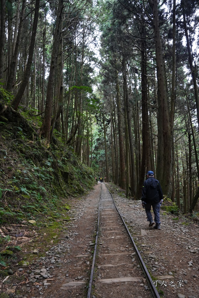 導航點,特富野古道,特富野古道怎麼去？,特富野自忠登山口路線,獨立山國家步道,精選文章