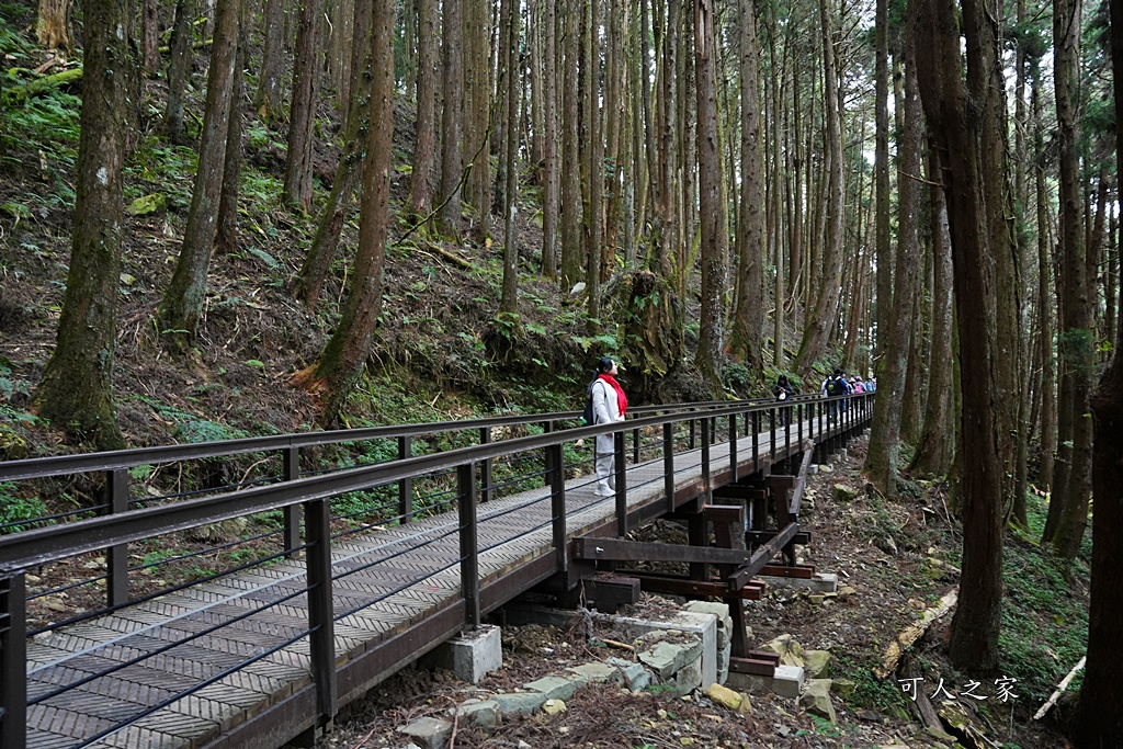 導航點,特富野古道,特富野古道怎麼去？,特富野自忠登山口路線,獨立山國家步道,精選文章