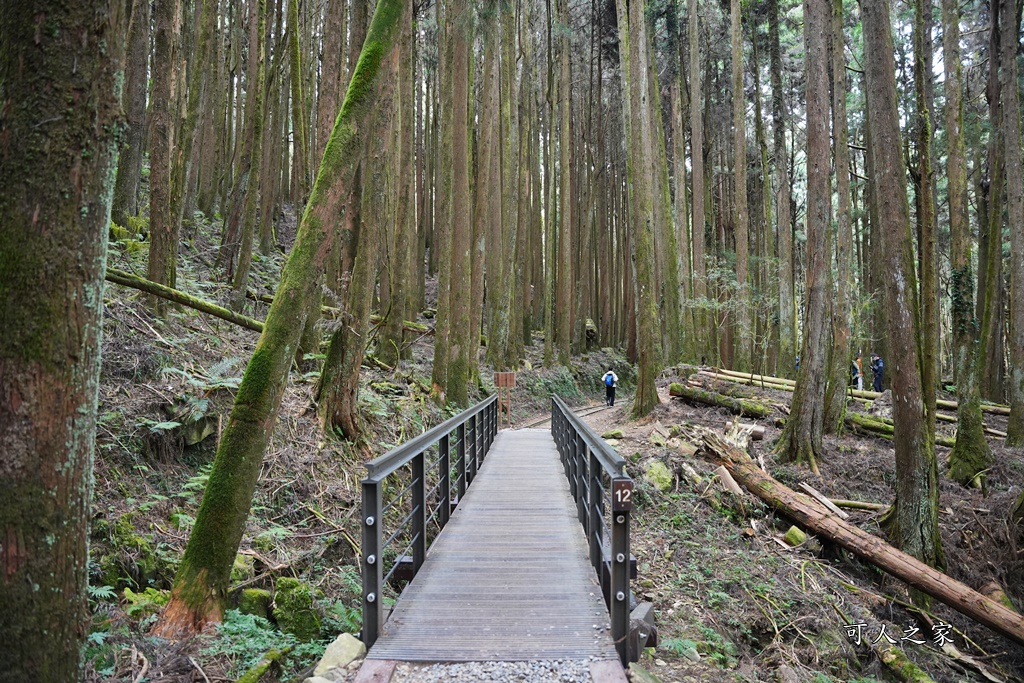 導航點,特富野古道,特富野古道怎麼去？,特富野自忠登山口路線,獨立山國家步道,精選文章