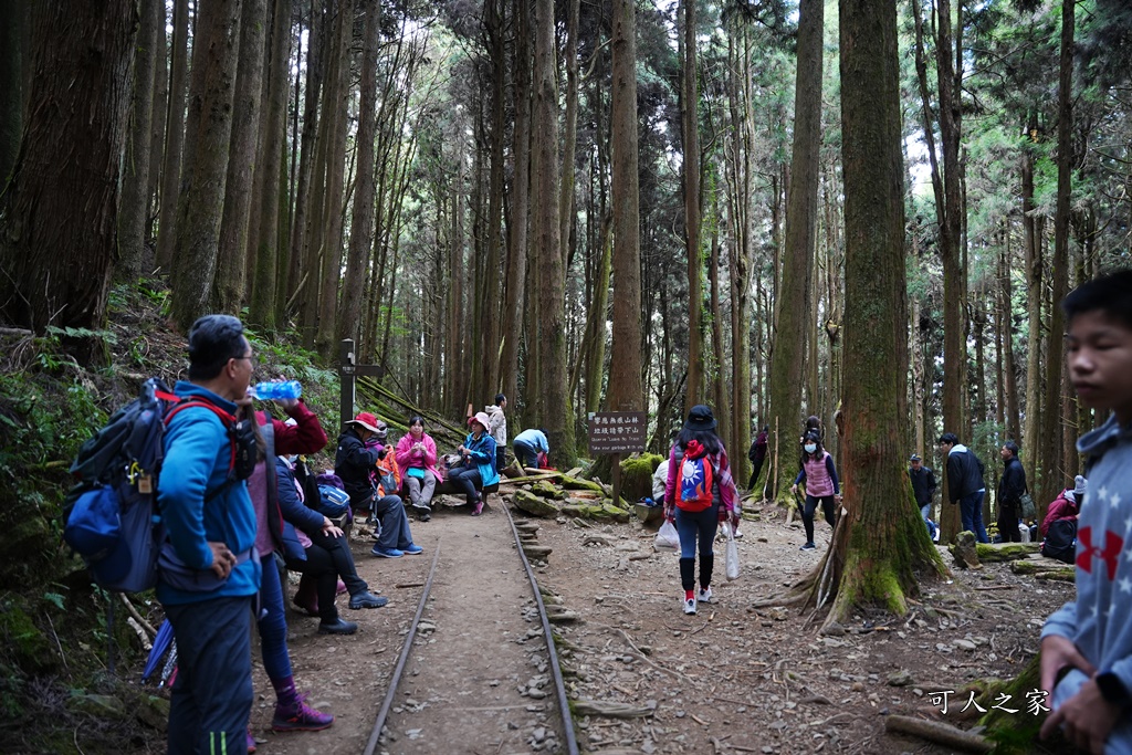 導航點,特富野古道,特富野古道怎麼去？,特富野自忠登山口路線,獨立山國家步道,精選文章