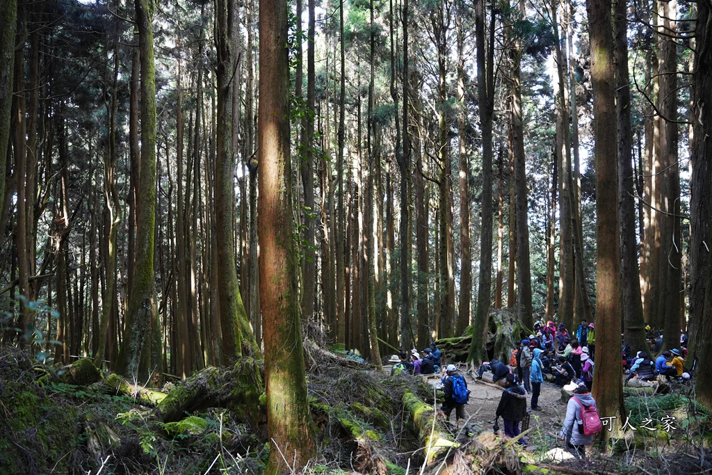 導航點,特富野古道,特富野古道怎麼去？,特富野自忠登山口路線,獨立山國家步道,精選文章