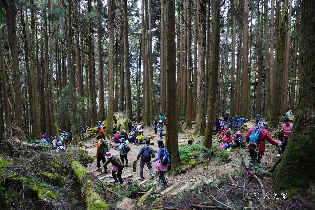 導航點,特富野古道,特富野古道怎麼去？,特富野自忠登山口路線,獨立山國家步道,精選文章