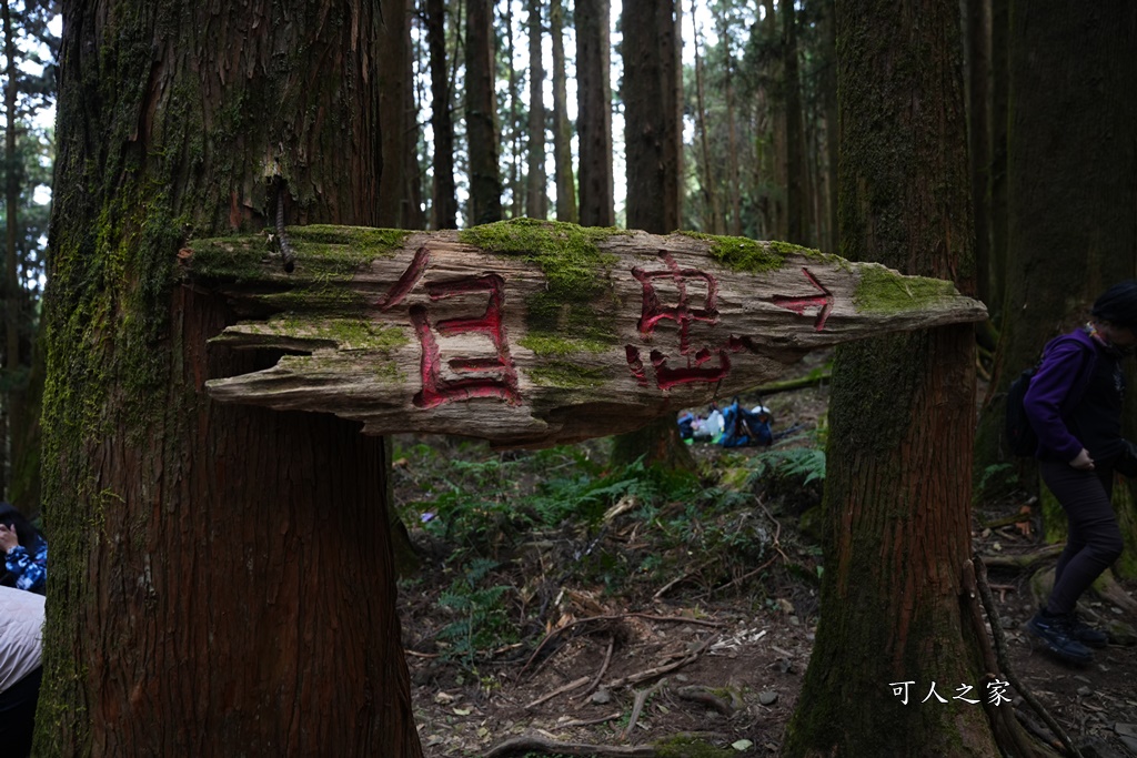 導航點,特富野古道,特富野古道怎麼去？,特富野自忠登山口路線,獨立山國家步道,精選文章