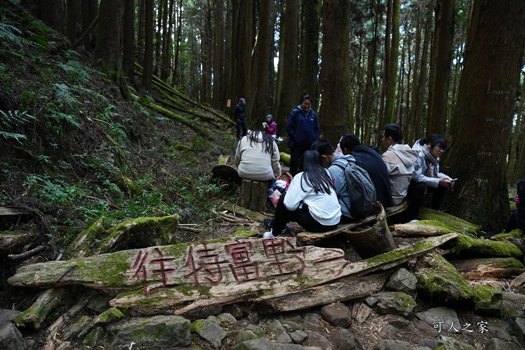 導航點,特富野古道,特富野古道怎麼去？,特富野自忠登山口路線,獨立山國家步道,精選文章