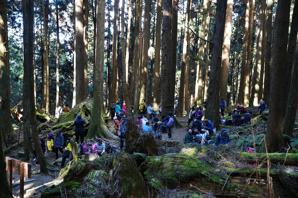 導航點,特富野古道,特富野古道怎麼去？,特富野自忠登山口路線,獨立山國家步道,精選文章