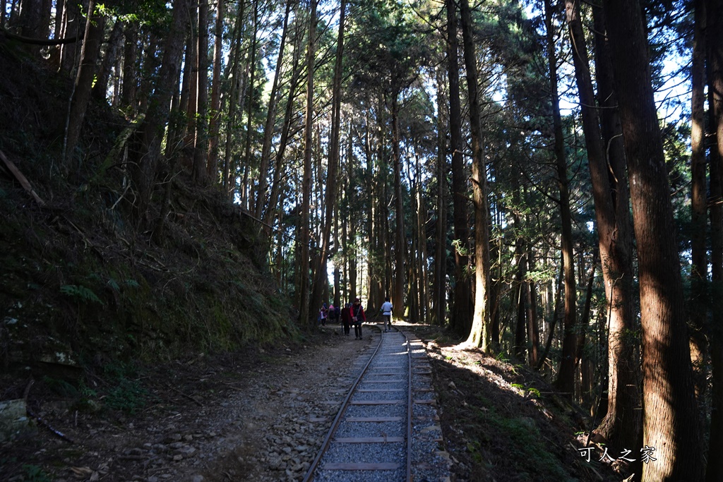 導航點,特富野古道,特富野古道怎麼去？,特富野自忠登山口路線,獨立山國家步道,精選文章