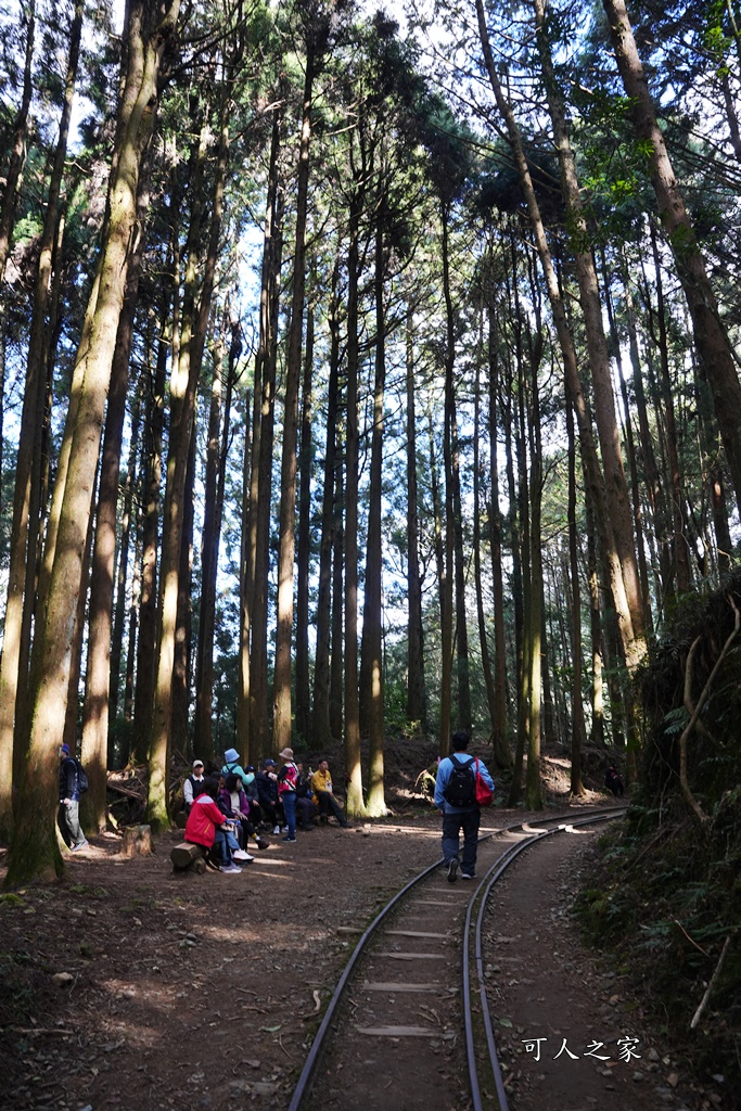 導航點,特富野古道,特富野古道怎麼去？,特富野自忠登山口路線,獨立山國家步道,精選文章