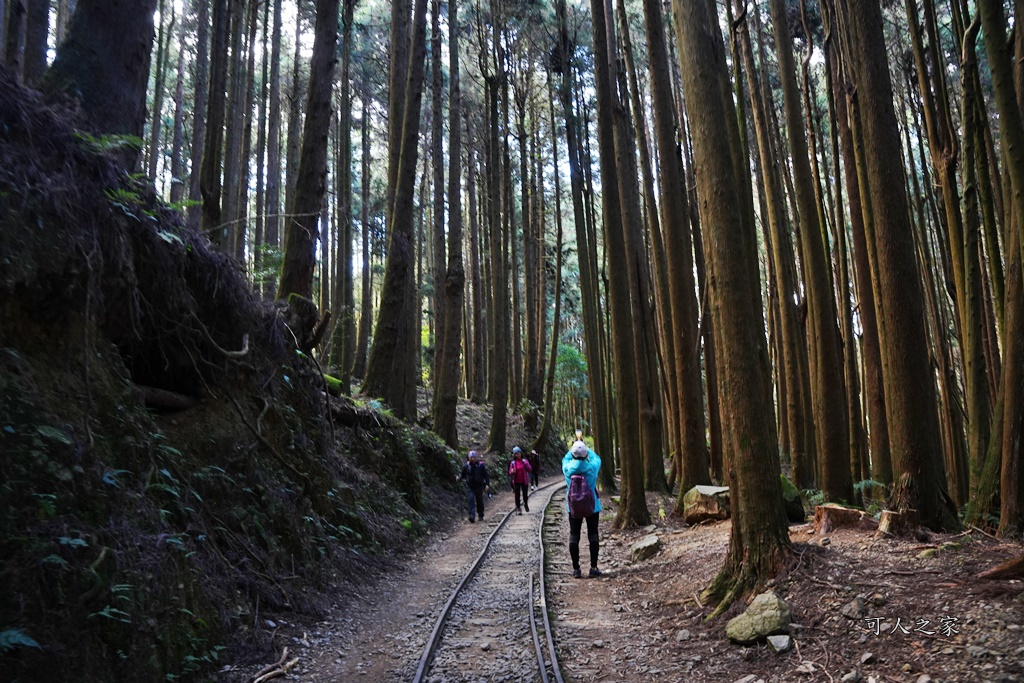 導航點,特富野古道,特富野古道怎麼去？,特富野自忠登山口路線,獨立山國家步道,精選文章